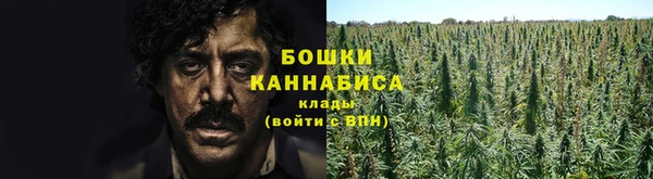 прущая мука Рославль