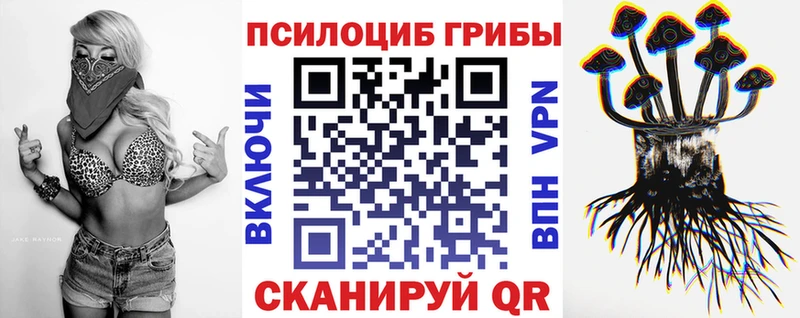 где купить   Мирный  Галлюциногенные грибы Psilocybe 