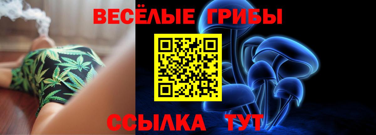 Мирный  Псилоцибиновые грибы GOLDEN TEACHER  Вход с VPN 